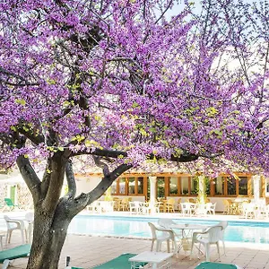 gaya.allmallorcahotels.com/